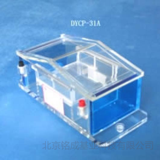 北京六一-琼脂糖水平电泳槽DYCP-31A